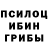 Галлюциногенные грибы Magic Shrooms TikTok: preo_lina
